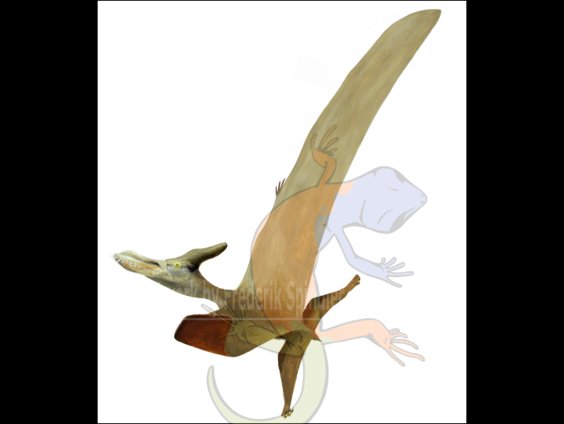 *Caulkicephalus*