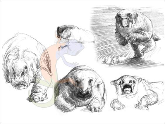 dicynodont therapsids