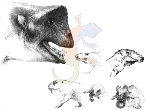 Therapsids
