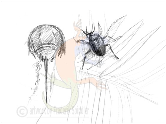 Arthropoda