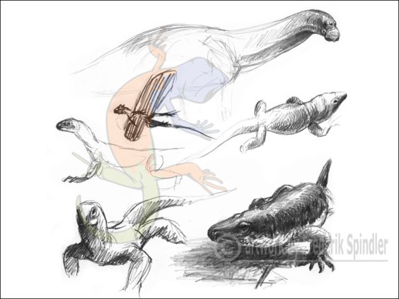 reptiles