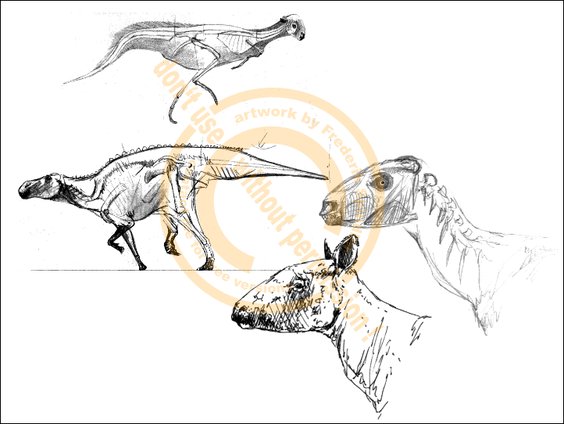 Dinosaurier nach Skeletten