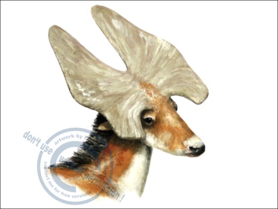 *Prolibytherium magnieri*