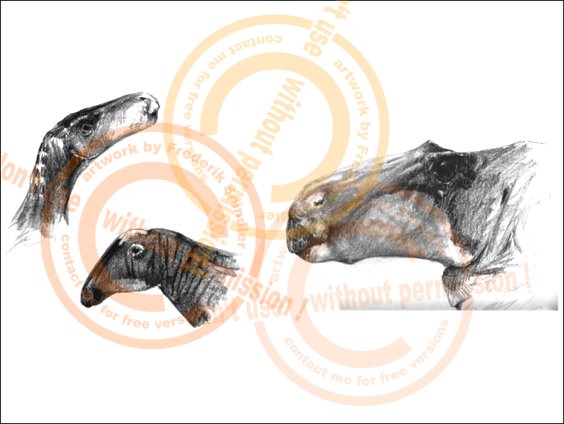 Hadrosauroidea
