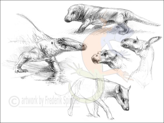 any synapsid