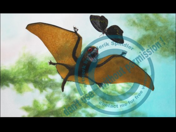 *Jeholopterus*