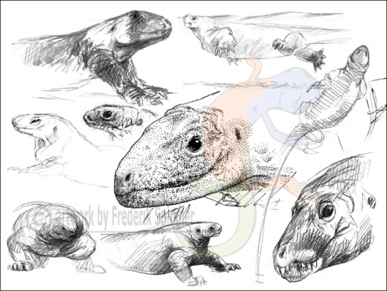 basal synapsids