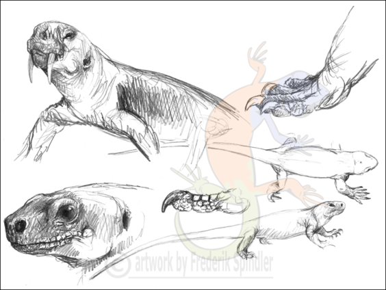 Synapsids